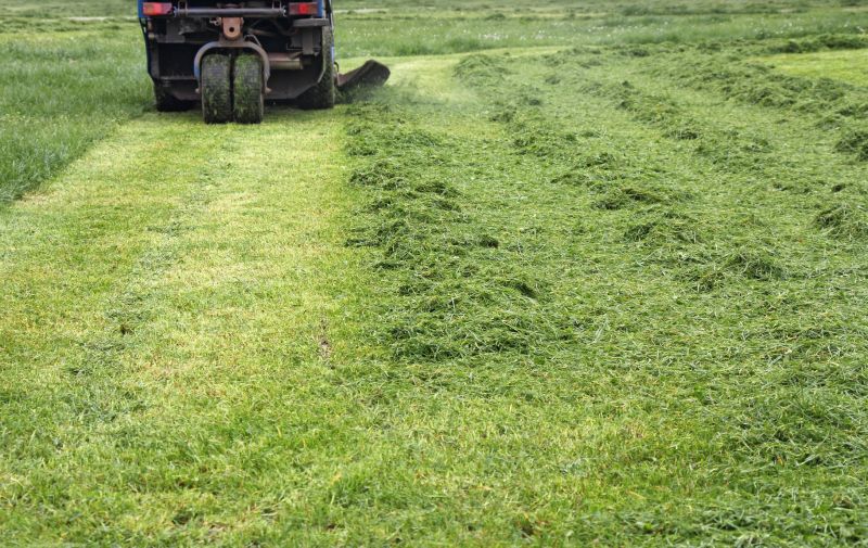 Acreage Mowing Service in Duluth, MN