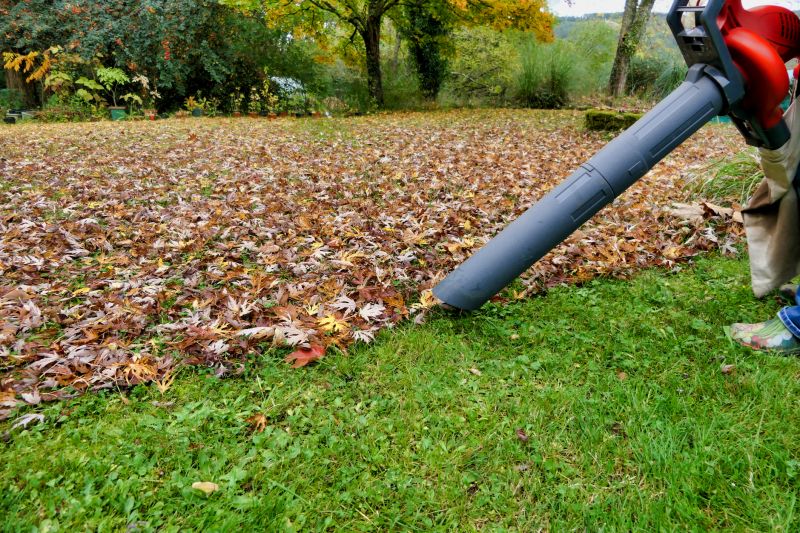 Leaf Blowing Equipment