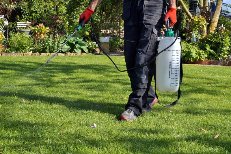 Pampas Grass Control in Ventura County, CA