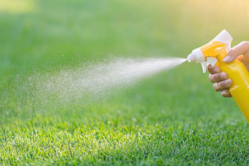 Lawn Weed Treatment in Rockwall, TX