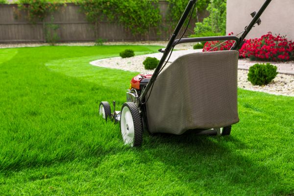 Lawn Care And Mowing - Lawn Care And Mowing Conroe, Texas