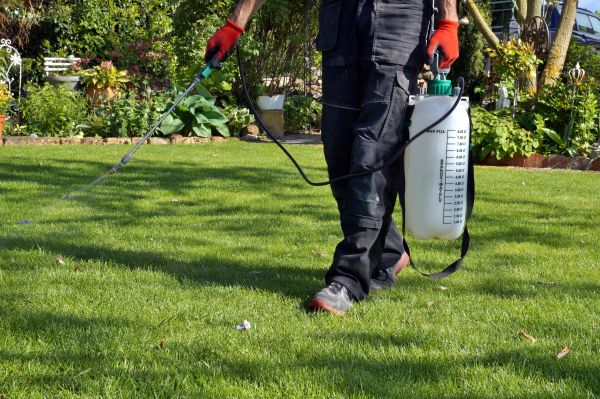 Lawn Care Treatment - Lawn Care Treatment Conroe, Texas